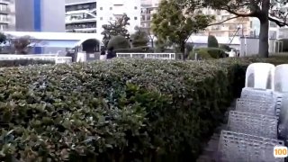日韩av手机免费免播在线视频观看➕国产呻吟av